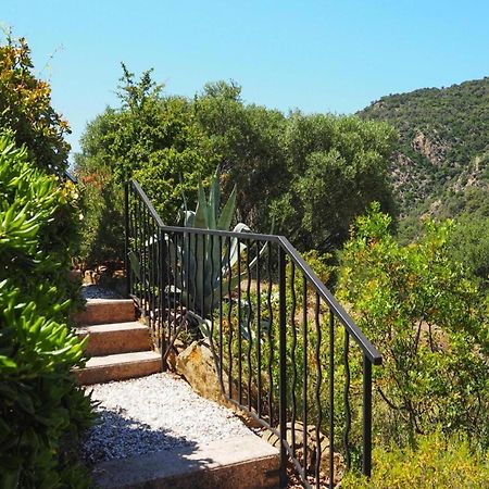Pretty Tiny House With Sea View, Le Lavandou Esterno foto