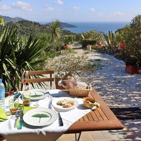 Pretty Tiny House With Sea View, Le Lavandou Esterno foto